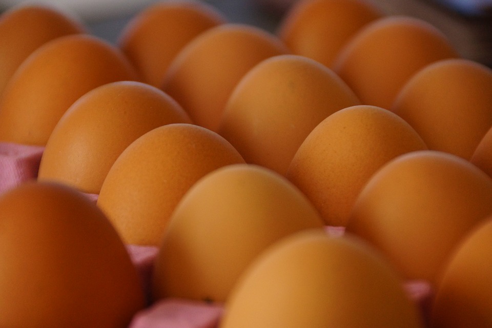 Простой совет, чтобы сохранить яйца свежими