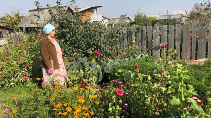 Почему пожилым людям так нравится работать на огороде и гробить там свое здоровье
