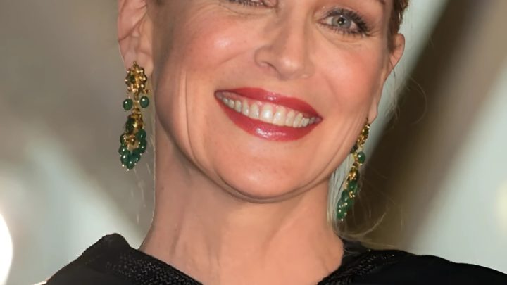 Sharon Stone, 66, zieht mit einem gewagten und freizügigen Minikleid die Blicke auf sich: ‚Keine Scham, kein Gewissen‘!