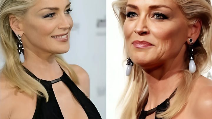 Sharon Stone, 66, erfreute ihre Fans mit einem Schnappschuss ohne Photoshop. So sollte das Alter sein! 😍