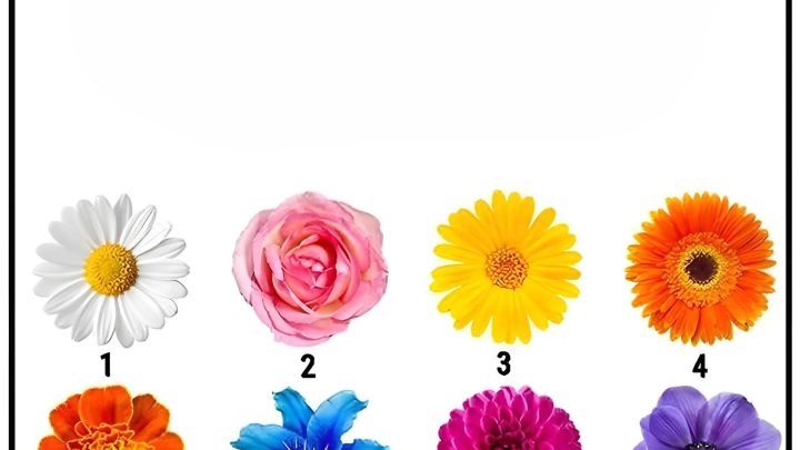 Was ist Ihr Charakter? Ein sehr interessanter Blumentest