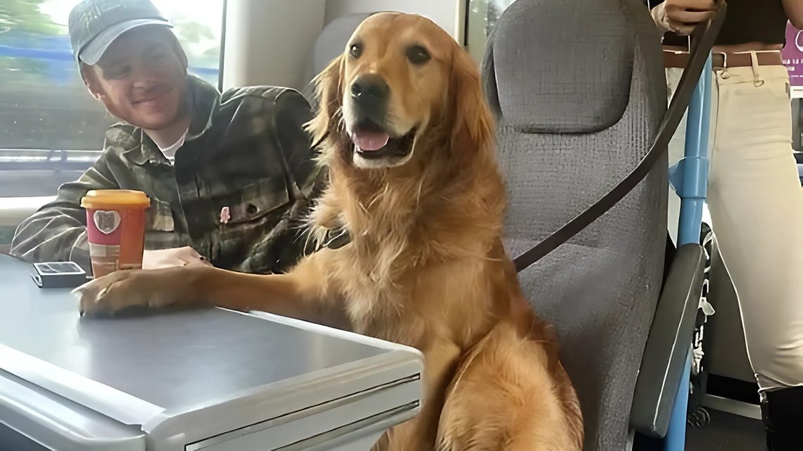 ICH BIN IN EINEN ZUG GESTIEGEN, UM VON MEINEM VATER WEGZUKOMMEN, ABER DER HUND EINES FREMDEN HAT ALLES VERÄNDERT. ICH BIN IN EINEN ZUG GESTIEGEN, UM VON MEINEM VATER WEGZUKOMMEN, ABER DER HUND EINES FREMDEN HAT ALLES VERÄNDERT.