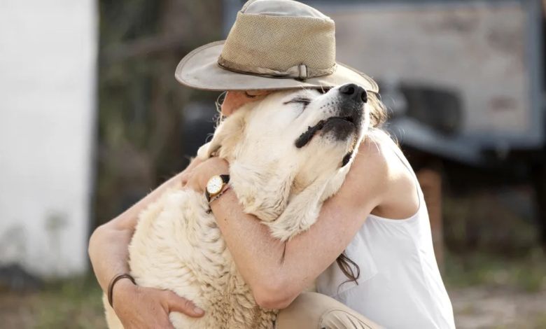 Ein Nachbar hat mir meinen Hund weggenommen, mich belogen und gedacht, ich würde nichts dagegen unternehmen. Ein Nachbar hat mir meinen Hund weggenommen, mich belogen und gedacht, ich würde nichts dagegen unternehmen.