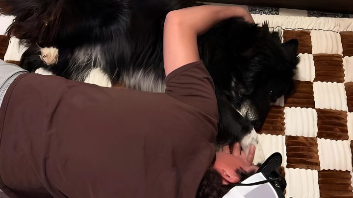 MEIN HUND FING PLÖTZLICH AN, JEDE NACHT NEBEN MIR ZU SCHLAFEN, UND DANN RIEF DER TIERARZT AN.
