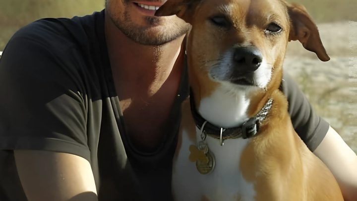 Mein Freund brachte meinen Hund ins Tierheim, während ich auf der Arbeit war – als ich ihn abholen wollte, war er weg.