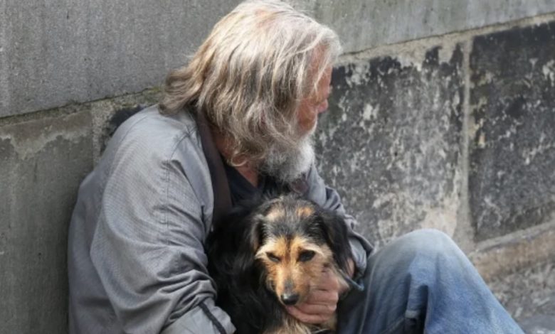 Ein obdachloser Mann bat mich, auf seinen Hund aufzupassen, und einen Monat später erhielt ich einen mysteriösen Brief Ein obdachloser Mann bat mich, auf seinen Hund aufzupassen, und einen Monat später erhielt ich einen mysteriösen Brief