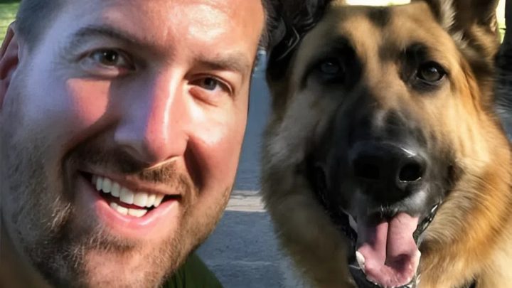 Meine Freundin ließ meinen Hund im Tierheim, während ich auf der Arbeit war, und als ich ihn abholen wollte, war er weg.
