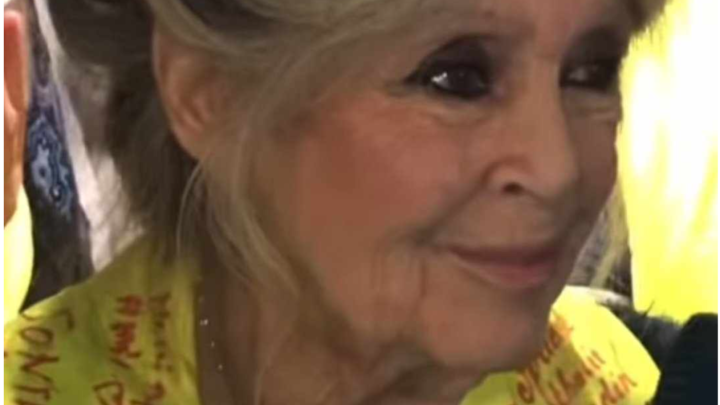 Die 90-jährige Brigitte Bardot zeigte sich ihren Fans. Bei klarem Verstand und guter Gesundheit.