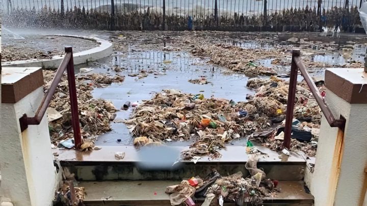 Der Ozean gibt zurück, was die Menschen in ihn hineinwerfen. Erstaunliche Dinge!