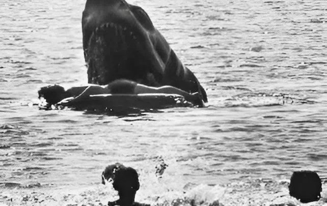 Gelöschte Szene aus „Der weiße Hai“: Der Haiangriff, den Sie nie gesehen haben