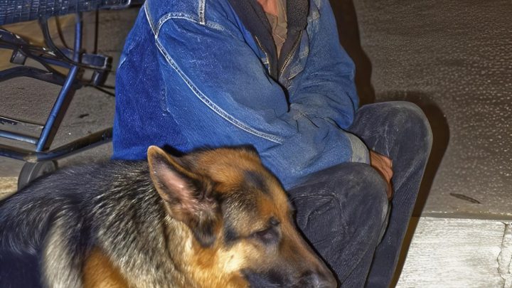 Ich gab einem hungrigen Veteranen und seinem Hund etwas zu essen – einen Monat später zog mich mein Chef wütend in sein Büro, und mein ganzes Leben wurde auf den Kopf gestellt.