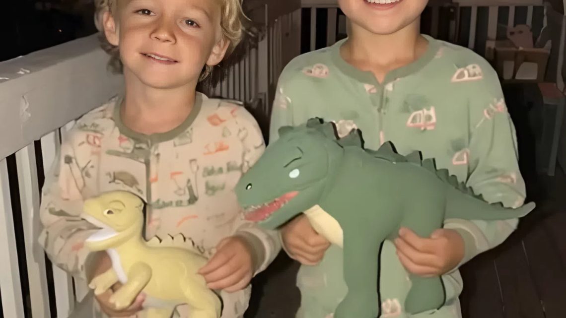 Meine Schwester hat mir immer ihre Kinder vor Sonnenaufgang aufgehalst, ohne mich zu fragen, weil ich Single bin – ich habe beschlossen, ihr eine Lektion zu erteilen.