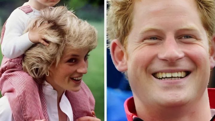 „Prinz Harry spricht offen über Prinzessin Diana und den Bruch mit William: seine ersten öffentlichen Kommentare!“