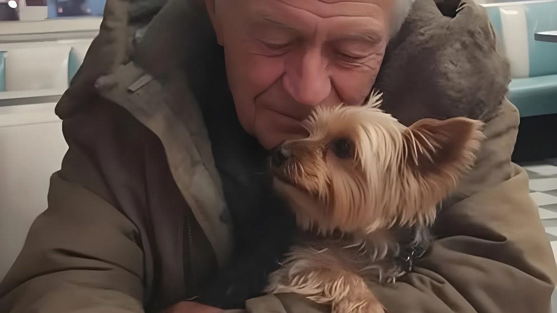 Ich lud den alten Mann zu einem kostenlosen Abendessen ein – am nächsten Morgen war ich überrascht von dem, was ich an der Tür sah.