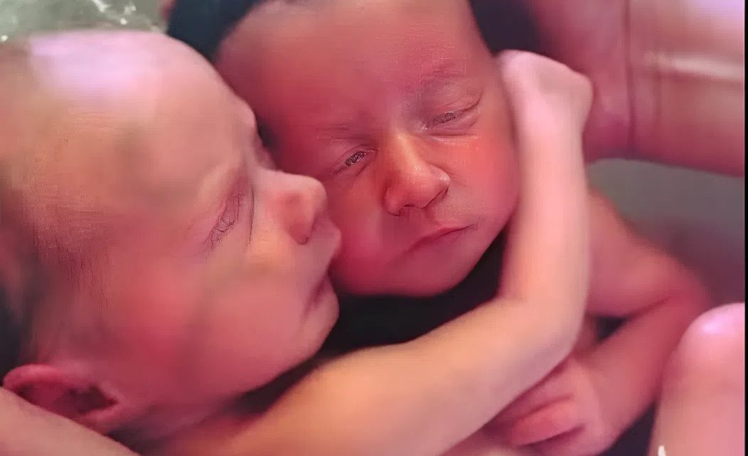 Neugeborene Zwillinge hören nicht auf, sich zu kuscheln, wie sie es im Mutterleib getan haben.