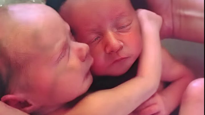 Neugeborene Zwillinge hören nicht auf, sich zu kuscheln, wie sie es im Mutterleib getan haben.