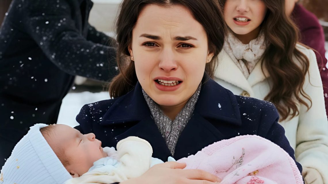 Sie warfen mich und mein drei Tage altes Baby wegen der Geliebten meines Mannes in einen Schneesturm hinaus – 24 Stunden später betrat ich als seine Chefin den Sitzungssaal.
