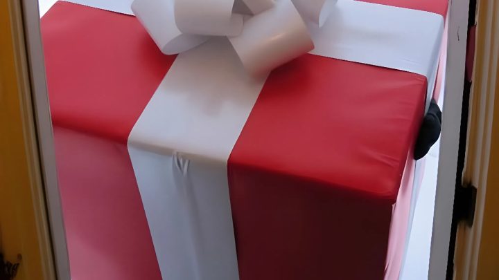 Zwei Tage vor Weihnachten nahm ich eine Mutter mit ihrem Kind in meinem Haus auf – und am Weihnachtsmorgen kam ein Paket mit meinem Namen darauf.