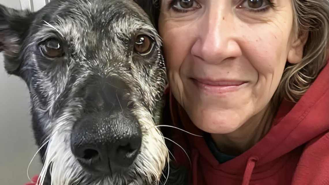 Ich habe den ältesten Hund aus dem Tierheim geholt, obwohl ich wusste, dass er nur noch einen Monat zu leben hatte – ich wollte diesen Monat für ihn zum glücklichsten seines Lebens machen.