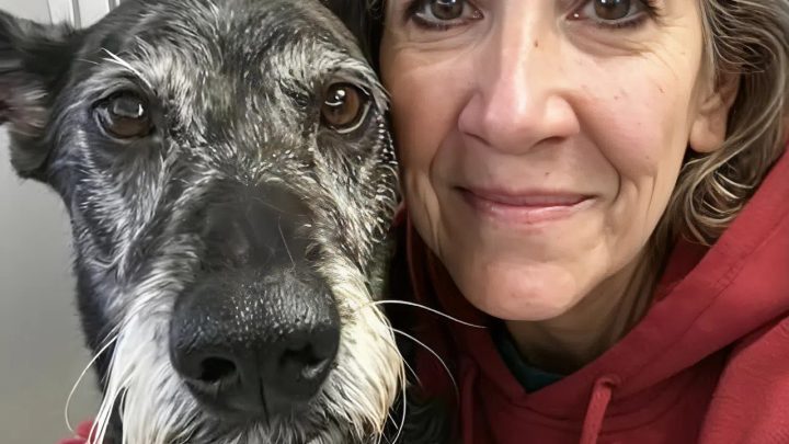 Ich habe den ältesten Hund aus dem Tierheim geholt, obwohl ich wusste, dass er nur noch einen Monat zu leben hatte – ich wollte diesen Monat für ihn zum glücklichsten seines Lebens machen.