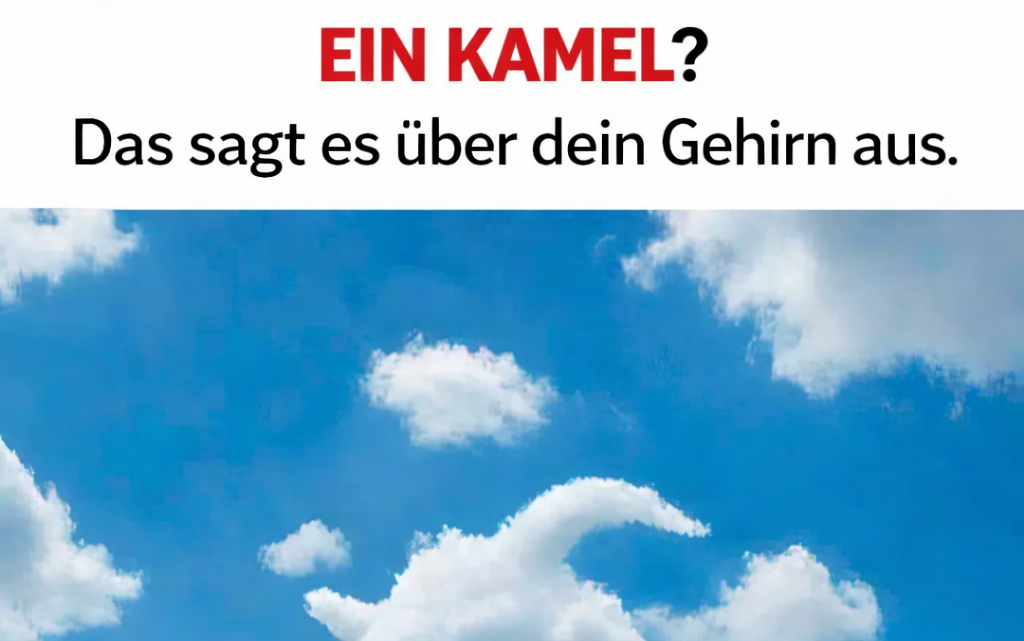 Was Sie als Erstes sehen, sagt viel über Sie aus: eine Schildkröte oder ein Kamel?