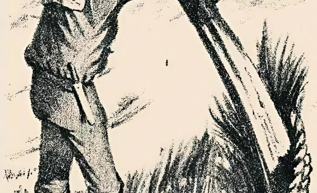 Optische Täuschung: Finden Sie den versteckten Ehepartner des Seemanns