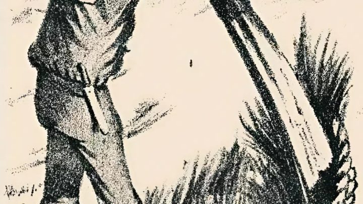 Optische Täuschung: Finden Sie den versteckten Ehepartner des Seemanns