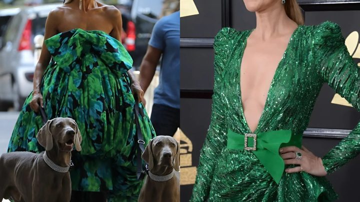 „Zeit zum Beten!“ Celine Dions seltener Auftritt bei den Grammys rührte die Zuschauer zu Tränen.