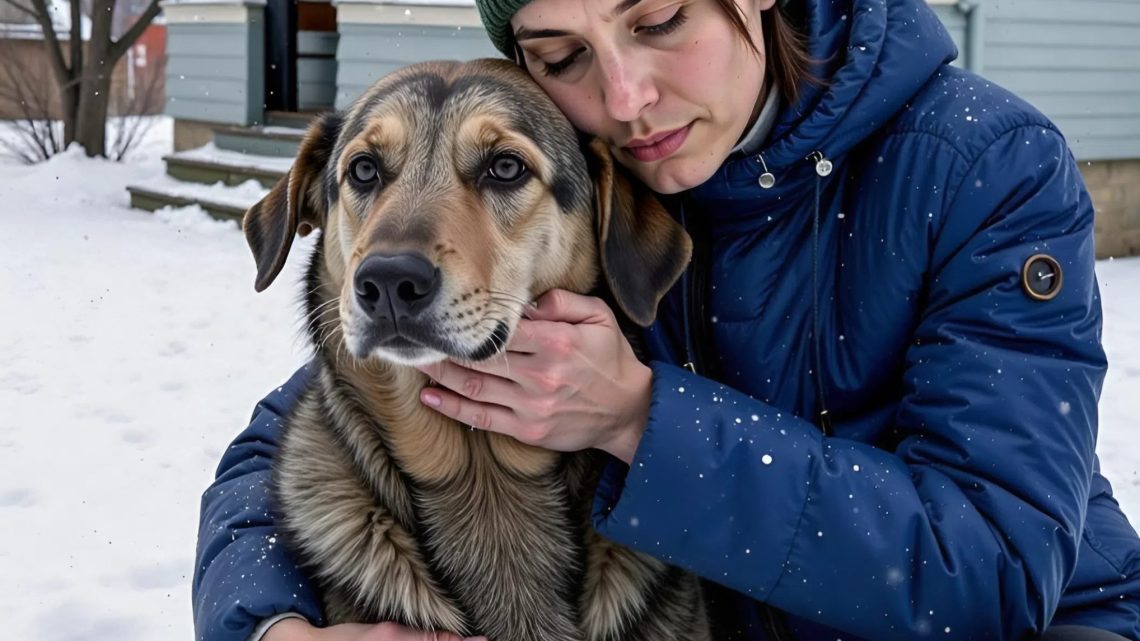 Während meine Schwestern um Omas Haus stritten, nahm ich nur ihren alten Hund mit – ich war sprachlos, als ich den QR-Code auf seinem Halsband scannte