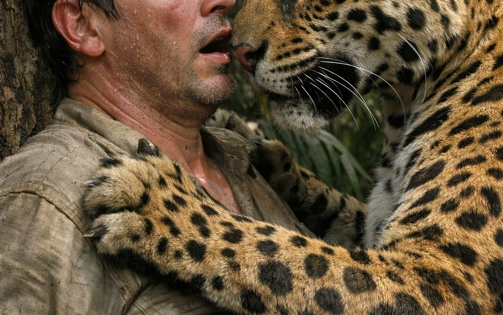 Ein Jaguar entdeckte den Mann, den Wilderer tief im Herzen des Dschungels an einen Baum gefesselt und zum Sterben zurückgelassen hatten – doch was das Raubtier dann tat, ließ ihn vor Schock beinahe den Verstand verlieren