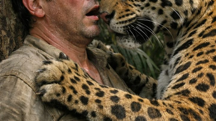 Ein Jaguar entdeckte den Mann, den Wilderer tief im Herzen des Dschungels an einen Baum gefesselt und zum Sterben zurückgelassen hatten – doch was das Raubtier dann tat, ließ ihn vor Schock beinahe den Verstand verlieren