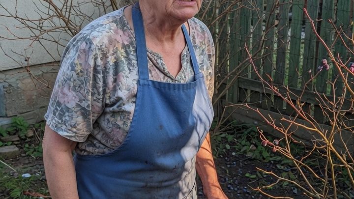 „Zina, deine Enkel haben all meine Heidelbeersträucher geplündert!“ – Als die Nachbarin nur gelassen reagierte, begann ein Sommer voller Missverständnisse und kindlicher Streiche