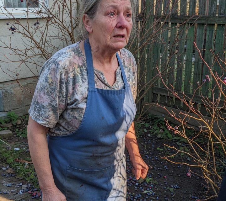 „Zina, deine Enkel haben all meine Heidelbeersträucher geplündert!“ – Als die Nachbarin nur gelassen reagierte, begann ein Sommer voller Missverständnisse und kindlicher Streiche
