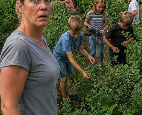 „Zerstörte Träume im Garten: Wie Nachbars Enkel meinen ganzen Blaubeerstrauch vernichteten und niemand reagierte“