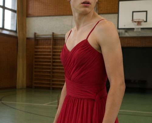 Mein Sohn kam zum Abschlussball in einem feuerroten Kleid – als alle den Grund erfuhren, herrschte Stille im Saal