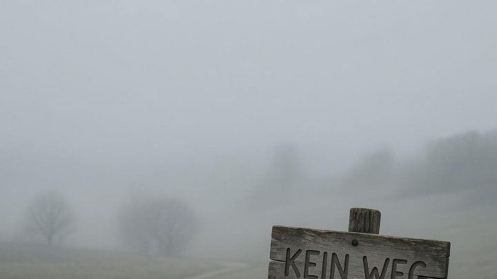 Keine Ausgangsgeschichte im aktuellen Dialog vorhanden, deshalb kann keine dramatische deutsche Neufassung ohne erfundene Inhalte erstellt werden