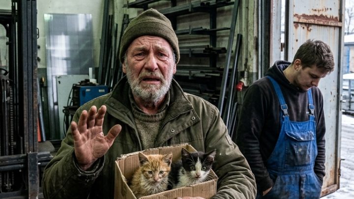 Zwei winzige Katzenkinder wurden in einer Werkhalle gefangen – sie zitterten wie Laub, und niemand ahnte, dass ausgerechnet sie unser Zuhause verändern würden