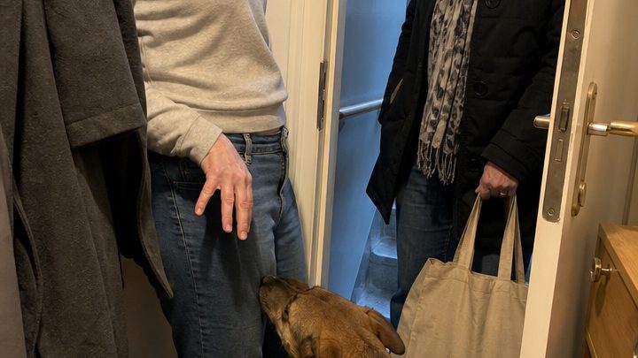 Warum Hunde an der Intimzone eines Menschen schnuppern können: die überraschende Wahrheit