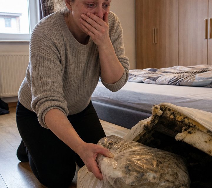 Ein einziger fremder Geruch führte mich zu dem Versteck unter unserem Bett – und ließ mein vermeintlich glückliches Eheleben innerhalb weniger Stunden zu Staub zerfallen
