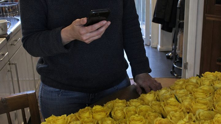 Ich bekam hundert gelbe Rosen, während mein Mann angeblich auf Geschäftsreise war – und die Anzahl der Blumen ließ mich die Polizei rufen